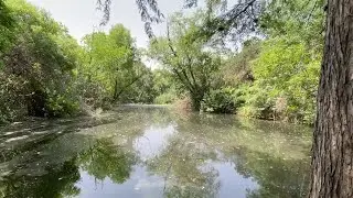 Guajolote Ranch opponents sue TCEQ, seek reversal of previously approved wastewater permit