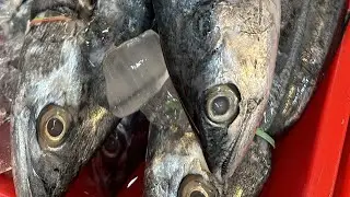 Fish #freshwaterfish #viralvideo #fishcathing #streetfood #fishrohu #streetfood 🔥