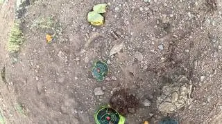 S&W M&P 15-22 Colt .357 Magnum Melon fail