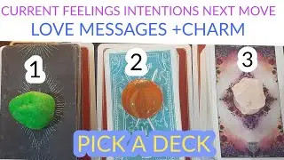 PICK A DECK 🔮 CURRENT FEELINGS, INTENTIONS, NEXT MOVE, FUTURE OF THIS CONNECTION ❤️ TIMELESS