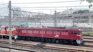 EF81 139+DE10 1752 [2024.8.31]