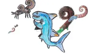 Tarphycerids: Paleozoic ammonite lookalikes   (Made with Clipchamp)