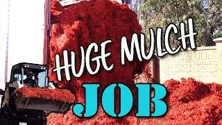 LAYING DOWN MULCH/HUGE MULCH JOB! 80-100 Cubic Yards
