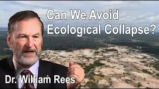 Can We Avoid Ecological Collapse?