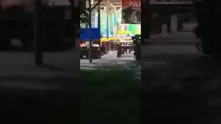 nemu koe