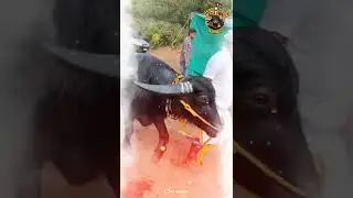 King Thaate