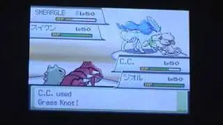 Pokemon VGC 2010 Japan National Senior Finals