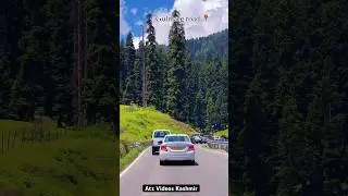 Summer Time On Gulmarg Road 🛣️🌲 #gulmargkashmir #viralvideos #naturephotography #travel #roadtrip