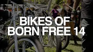 Bikes of Born Free 14