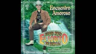 QUE ME LLEVEN ALA CARCEL - EL LOBITO DE SINALOA 