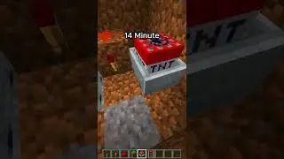 TRAP at Different Times (World's Smallest Violin)