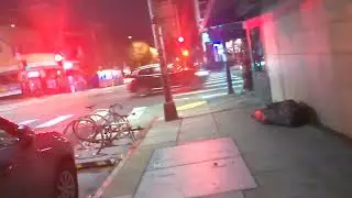 Night Dog: City Tour 3