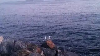 İstanbul Deniz Manzarası (1 Saat)/Istanbul Seascape (1 Hour) - 2023