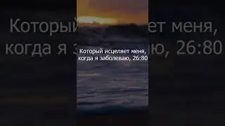 Ислам Ас-Субхи I сура &laquo;Поэты&raquo; 78-81 I Коран I Коран Тик Ток I Коран Shorts I Новости I Muslim