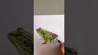 How to Draw An Impossible 3D Star Narrated Step By Step | Easy 3D illusion Drawing tutorials