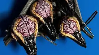 Bird Brain