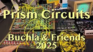 Prism Circuits - Skyler King | Buchla & Friends 2025