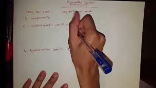 Pyramidal System