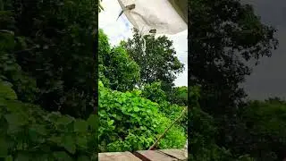 Beautiful Place | #trending_shorts_on_youtube #constructionworker #nature #viral_shorts #shorts