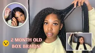 Taking Out My 2 Month Old Box Braids | My Hair Grew! + Removing Build up