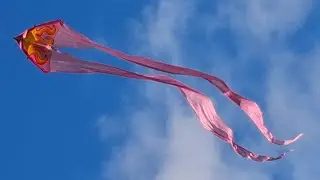 Silk kite flying in the wind