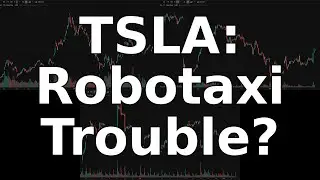 TSLA Breakdown: Robotaxi Lawsuit Impact & Chart Analysis - August 06, 2025