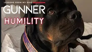 Lessons From My Dog Gunner: Humility