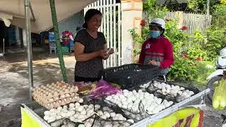 Full video: This Simple Duck Farming Trick Changed Everything &ndash; Natural, Organic & Easy Transport!