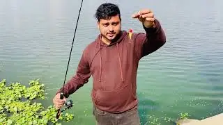 সকল ধরণের মাছ শিকারের ফিশিং রড পাবেন।#lure cast #frogs #fishing 