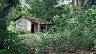 Radhe Radhe Jay Shri Krishna 👍🏻♥️🌹