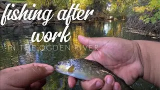 FLYFISHING- fishing after work in the Ogden River Utah 