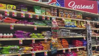 Halloween candy deals