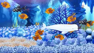 Fish Paradise Highlights