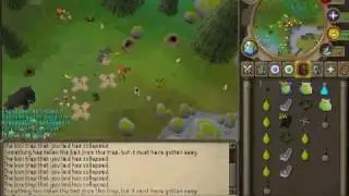 Pawya and Grenwall hunting