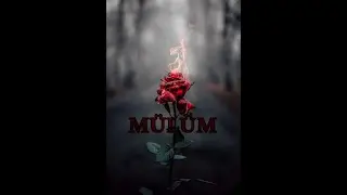 Romano Rap 2023 Marwin x Emir & Erwin ( Mülüm ) Official Video