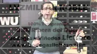 VIDEOCATA LVZMILLAR ROBLE 2014 PARA WINE UP TOUR