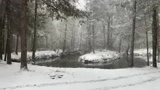 Snow day 2025, Milton, Florida