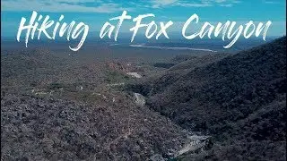 High Tide - Hiking at Fox Canyon
