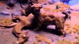 Mini Ice Age Mammals Diorama NYC Museum