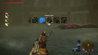 Coliseum Ruins one shot kill lynel