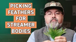 Picking the Right Feathers: Fly Tying Streamers
