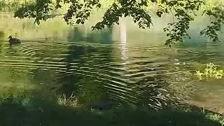 Fontibre y nacimiento del rio Ebro