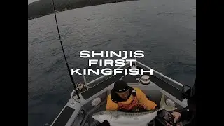 shinji's first Kingfish mayor island