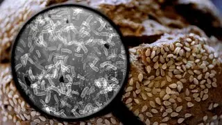 What is Rope Spoilage? | Knead to Know Basis | BAKERpedia