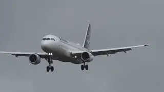 Frankfurt Airport Planespotting 🛩️ (Lufthansa)