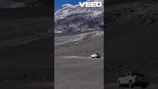 Snow Leopards  Masters of Stealth VEED #animals