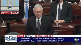 FAMILY GUY Sneakers O'Toole Mitch McConnel Weighs in. Lae_Z_Susan on TikTok at Grip E. As