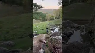 Beauty of Vermont #nature #fall #hiking #hikinglife #naturelovers #outdoorsy