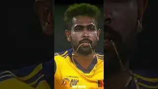 Defending champions 🗿 #trending #slvsban #cricketgoverningbody #viral #icccricket #ipl #asiacup2022