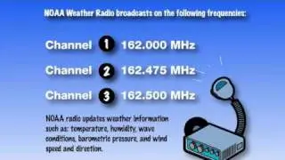 Check Local Weather Conditions 3.1